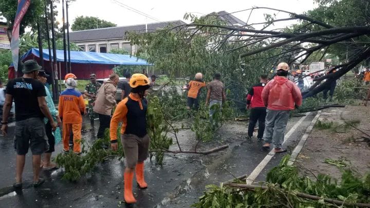 Petugas BPBS Sukoharjo evakuasi pohon tumbang di Solo Baru, Kecamatan Grogol yang menimpa pengendara sepeda motor, Minggu (15/2).