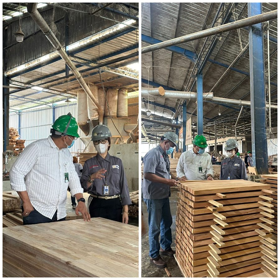 PT Abhirama Kresna menyatakan kesiapannya menjadi off-taker atau penampung hasil panen kayu rakyat dari lahan Perhutanan Sosial.