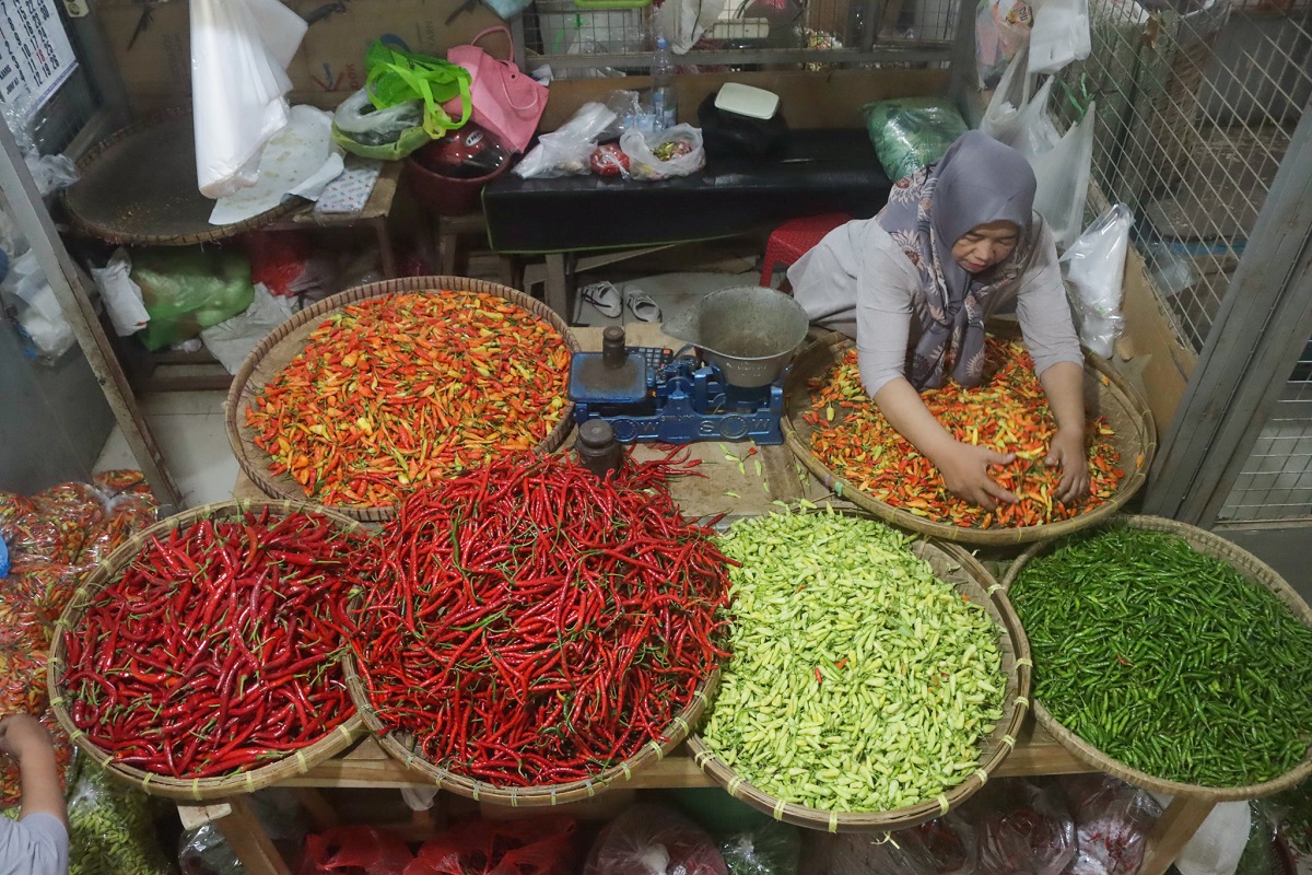 Harga cabai kerap mengalami fluktuasi. Terutama saat Ramadhan, Lebaran, dan hari besar lainnya.