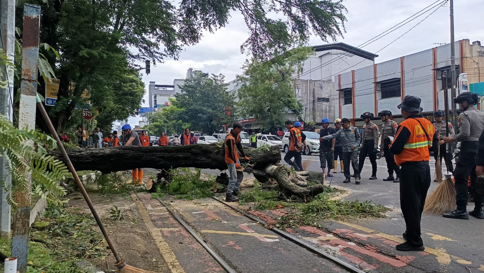 Pohon asem tumbang di depan Hotel Megaland Jalan Slamet Riyadi. (A Christian/Radar Solo)