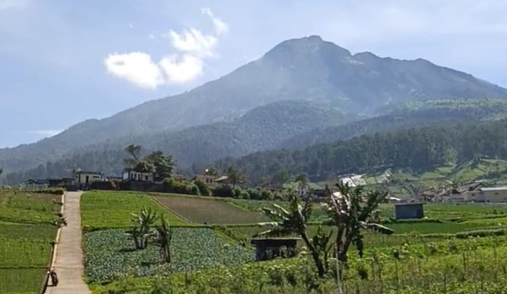 Ladang sayur di Blumbang, Kecamatan Tawangmangu, Karanganyar. (Adi Pras/Radar Solo)