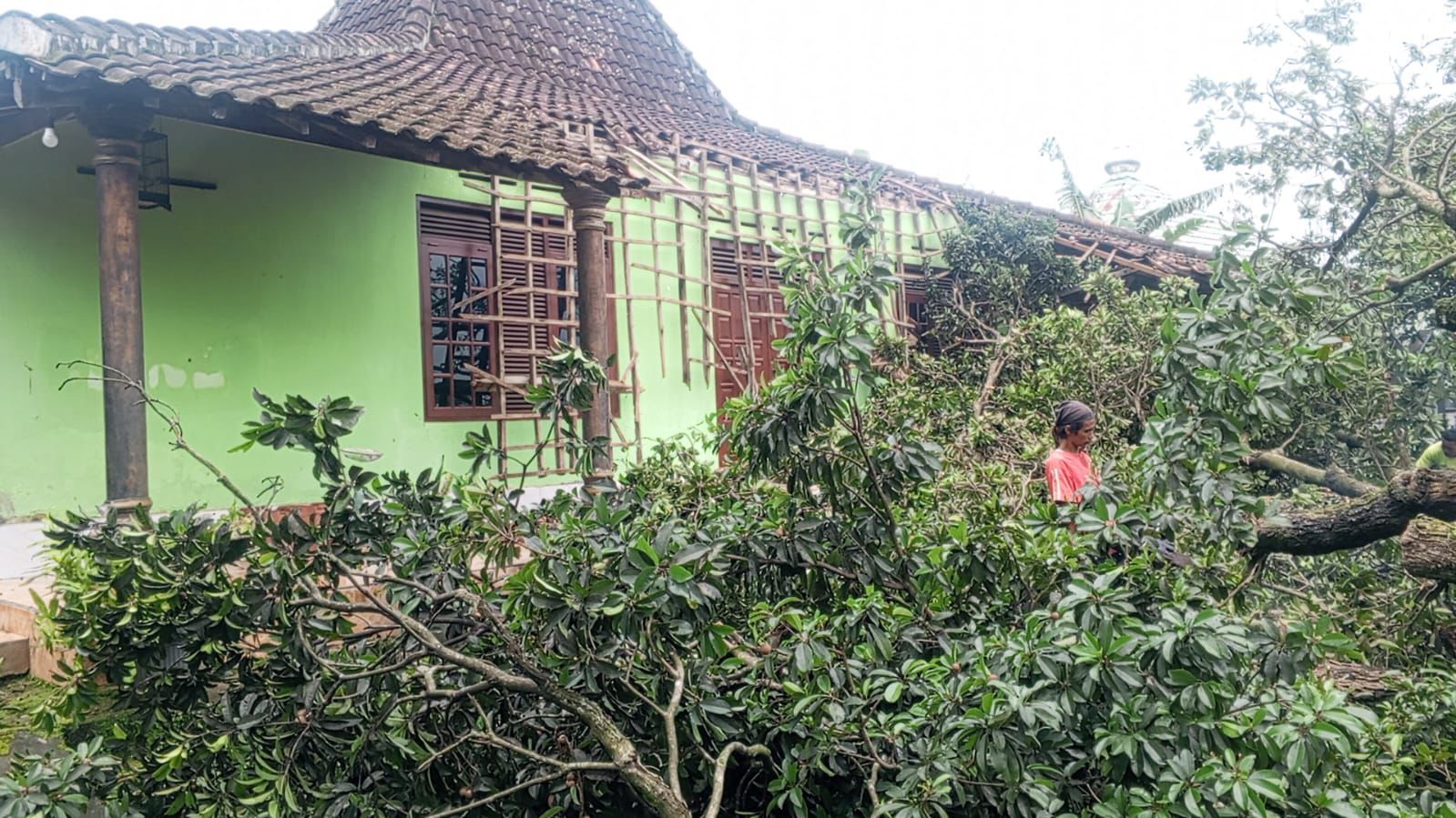 Rumah warga di Desa Tegalrejo, Sawit, Boyolali mengalami kerusakan akibat tertimpa pohon tumbang, Rabu (25/2/2026).