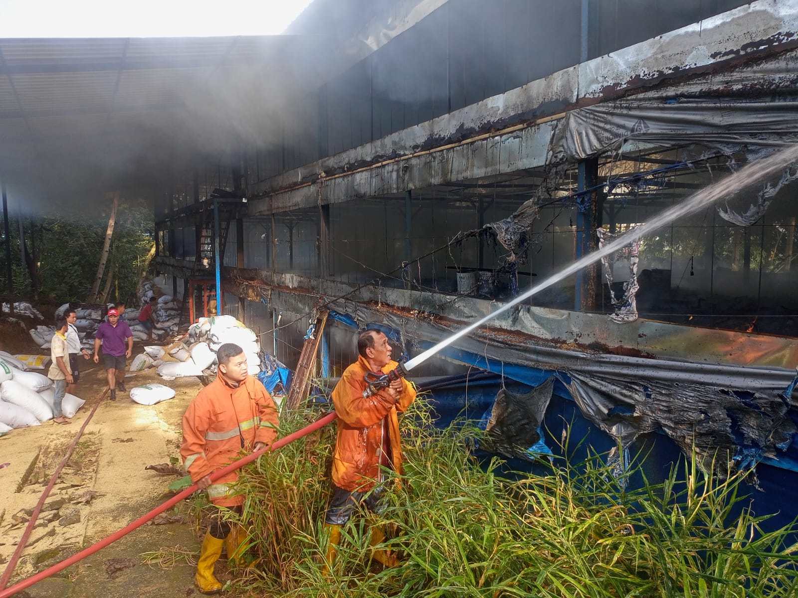 Damkar Wonogiri padamkan api yang menghanguskan kandang ternak ayam di i Dusun Tambak Ruci RT 02 RW 07 Desa Jatirejo, Kecamatan Girimarto Minggu (1/3/2026).