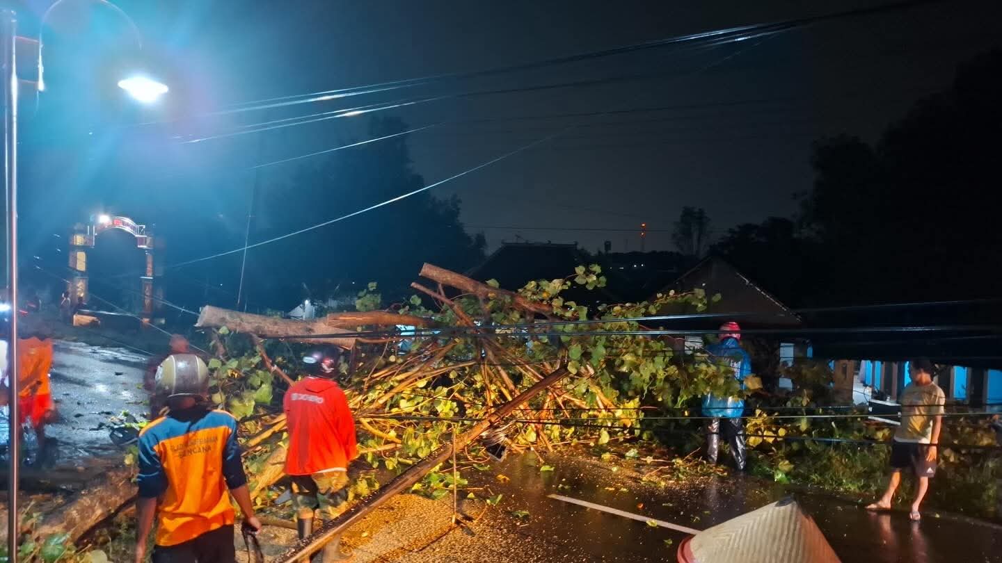Pihon tumbang di Sukoharjo, dampak hujan disertai angin kencang yang melanda sejak Selasa sore (3/3).