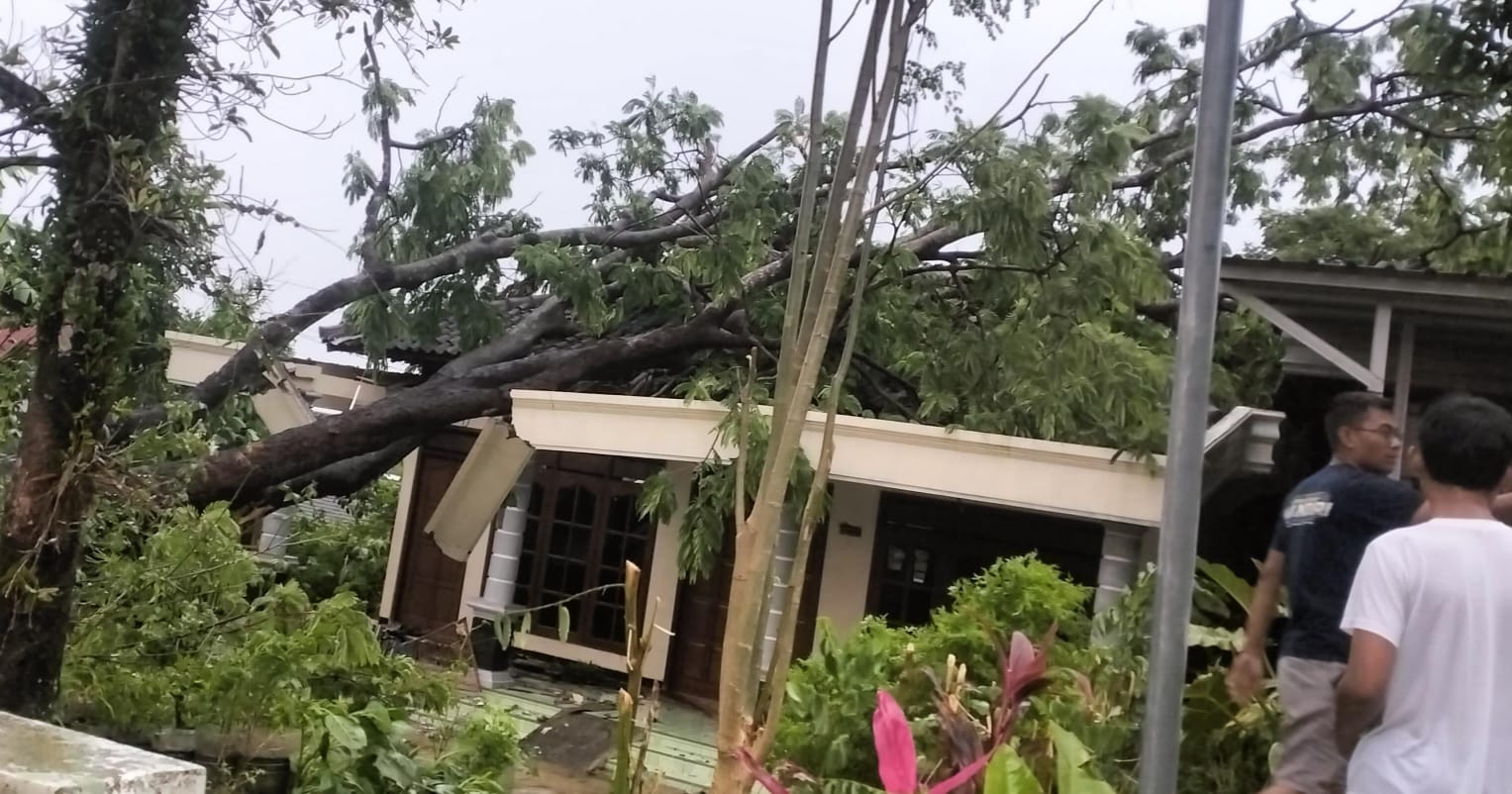 Salah satu rumah warga Karangpandan, Karanganyar yang tertimpa pohon tumbang usai puting beliung, Rabu (4/3/2026) siang. (Rudi Hartono/Radar Solo)
