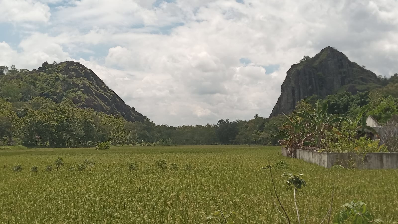 Gunung Sepikul mengapit areal persawahan di Desa Tiyaran, Kecamatan Bulu, Sukoharjo. 