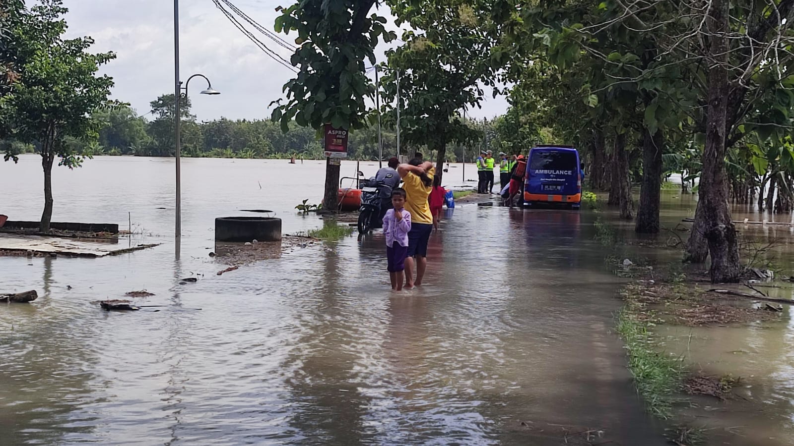 Lahan persawahan di Sidoharjo, Sragen terendam banjir luapan Sungai Bengawan Solo, Kamis (5/3/2026) sore. (Ahmad Khairudin/Radar Solo)