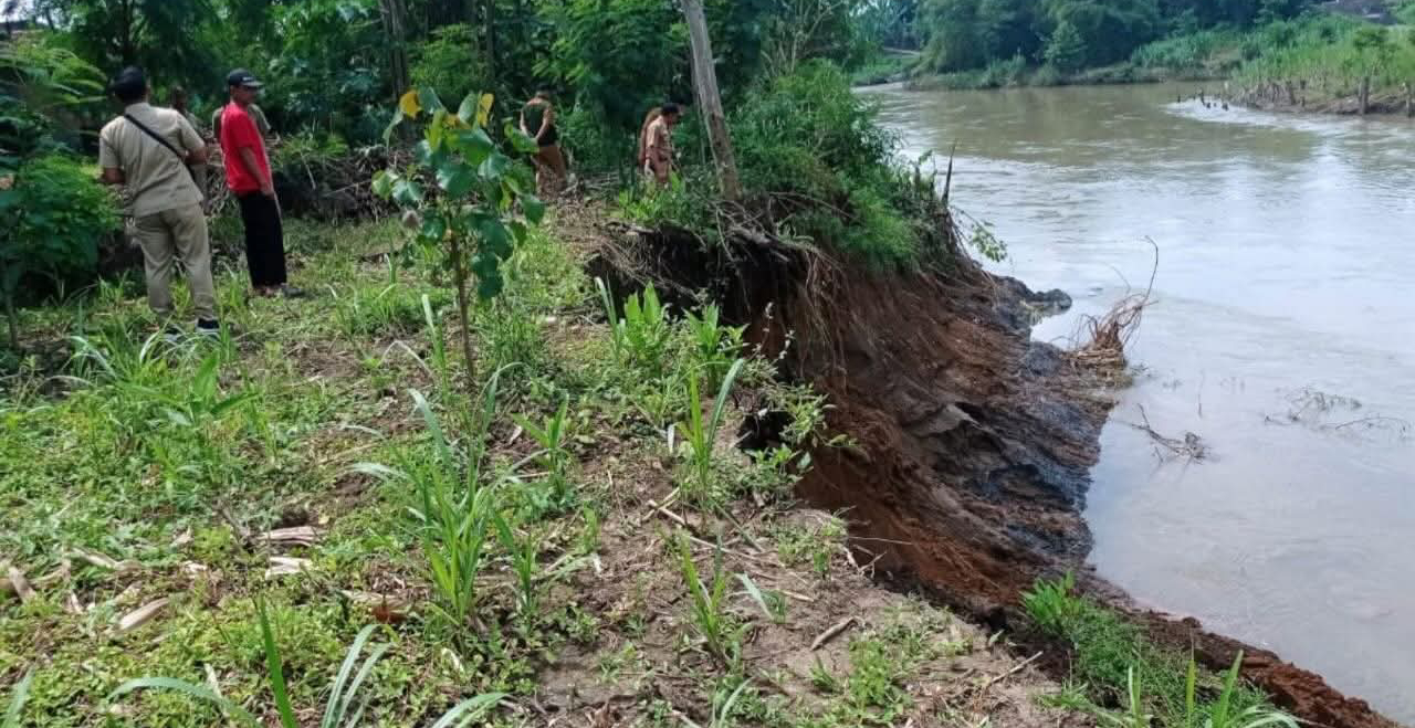 BPBD Sukoharjo lakukan asesmen terhadap longsoran tebing Sungai Bengawan Solo di Kelurahan Banmati, Kecamatan Sukoharjo Kota, Senin (9/3).  