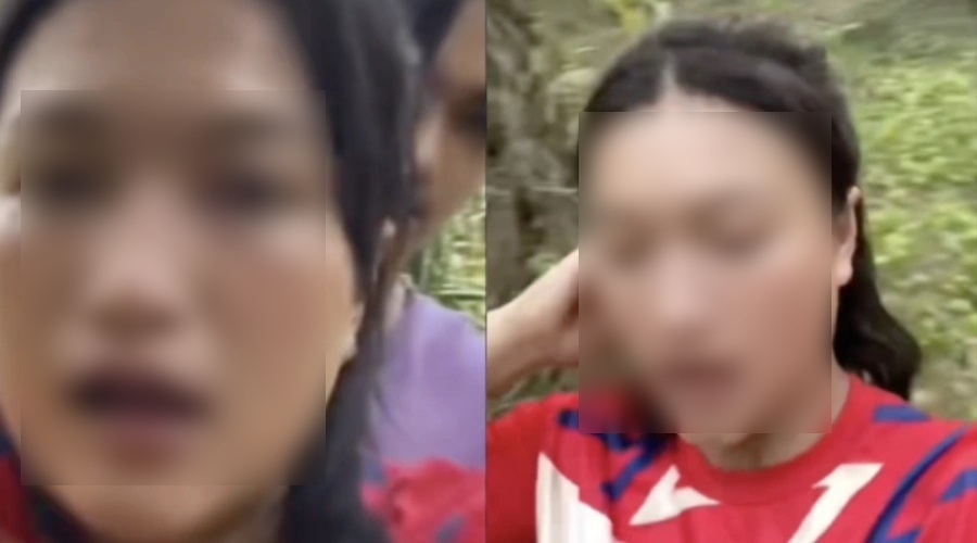 Rekaman Video Viral Aksi Ibu Tiri Vs Anak Tiri di Kebun Sawit Diburu Netizen, Link Aslinya Bikin Penasaran