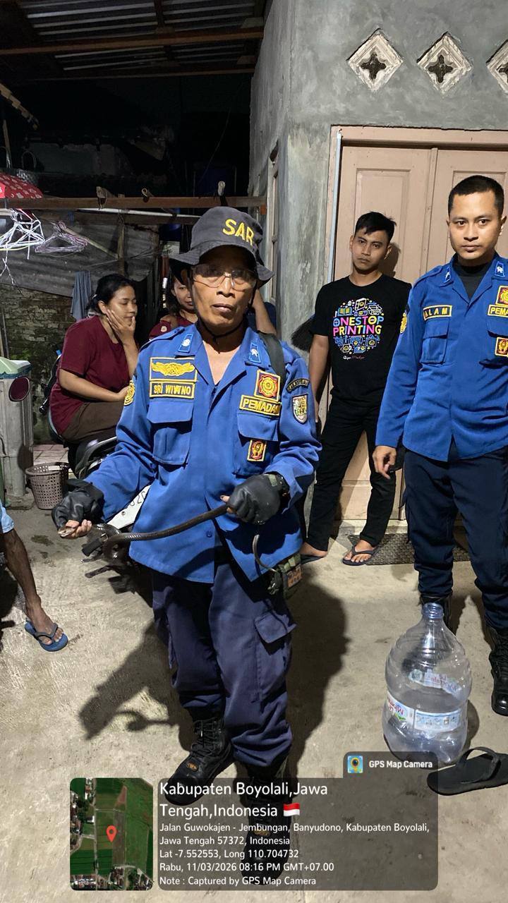 Personel Damkar Boyolali evakuasi ular kobra jawa di Dukuh Karang Wetan, RT 18/RW 04, Desa Jembungan, Kecamatan Banyudono, Kabupaten Boyolali, pada Rabu (11/3/2026) malam.