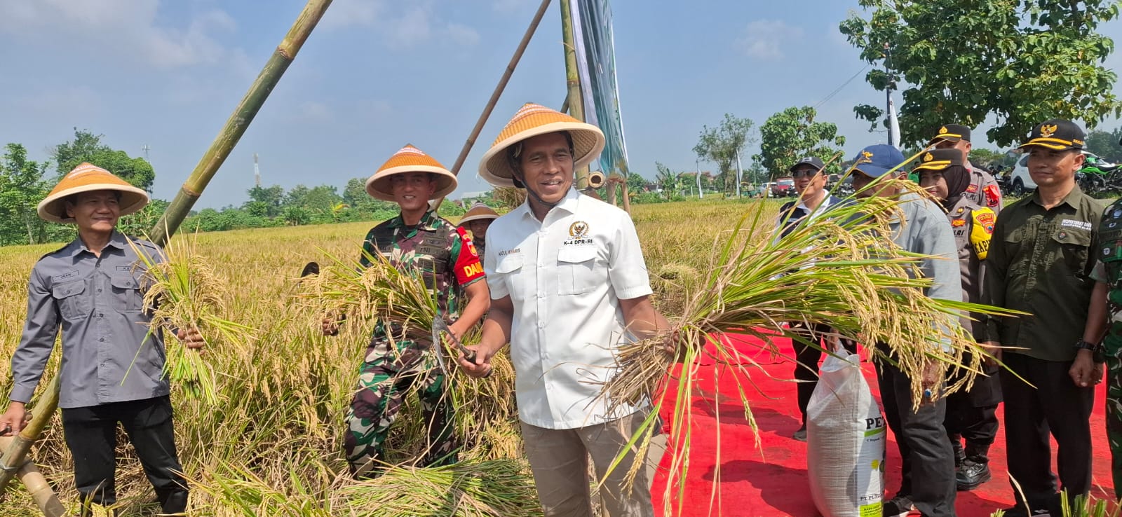 Wakil Ketua Komisi IV DPR RI Abdul Kharis Almasyhari mengikuti kegiatan Panen Raya Padi di Desa Wonosari, Kecamatan Trucuk, Kabupaten Klaten pada Sabtu (14/3/2026).