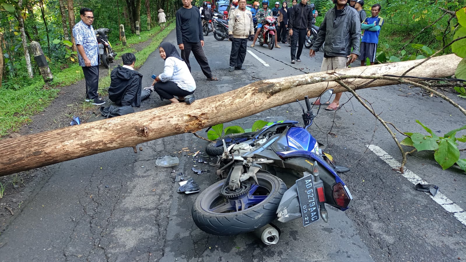 Pemotor terjatuh setelah tabrak pohon tumbang di Jalan Raya Solo-Pacitan, tepatnya di kawasan Dusun Kepuh Kulon, Desa Bumiharjo, Kecamatan Nguntoronadi, Wonogiri, Senin (16/3/2026).