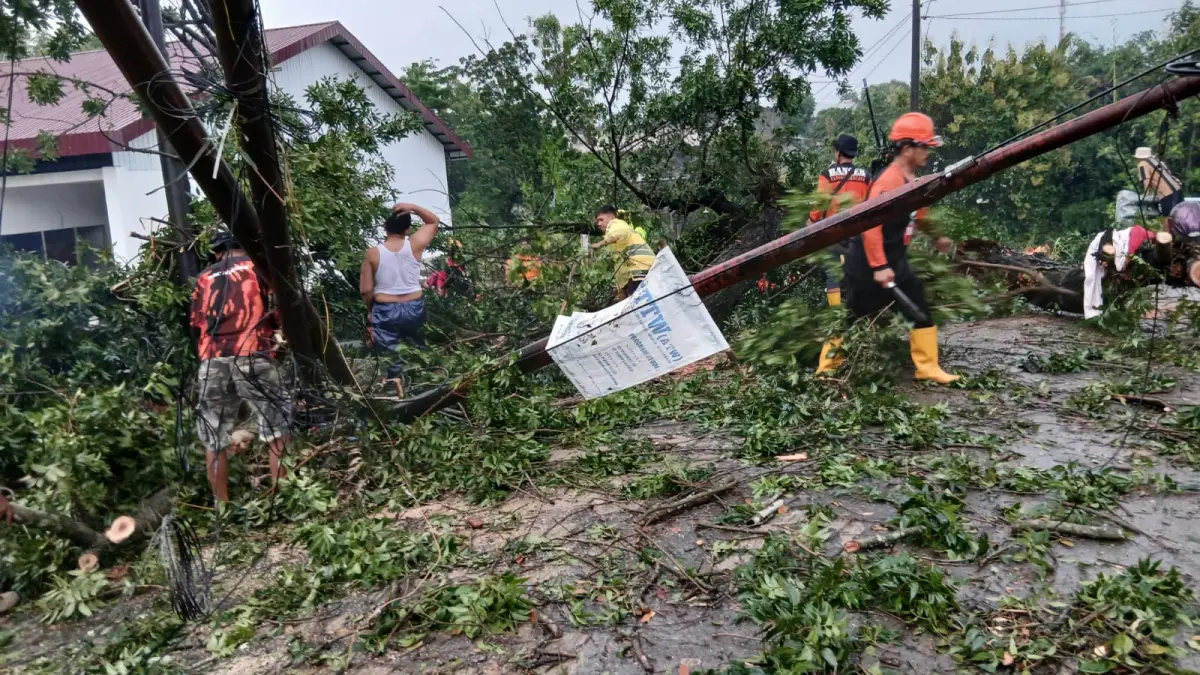 Relawan BPBD Sukoharjo evakuasi pohon tumbang akibat hujan deras disertai angin kencang di Kartasura, Minggu sore (29/3).