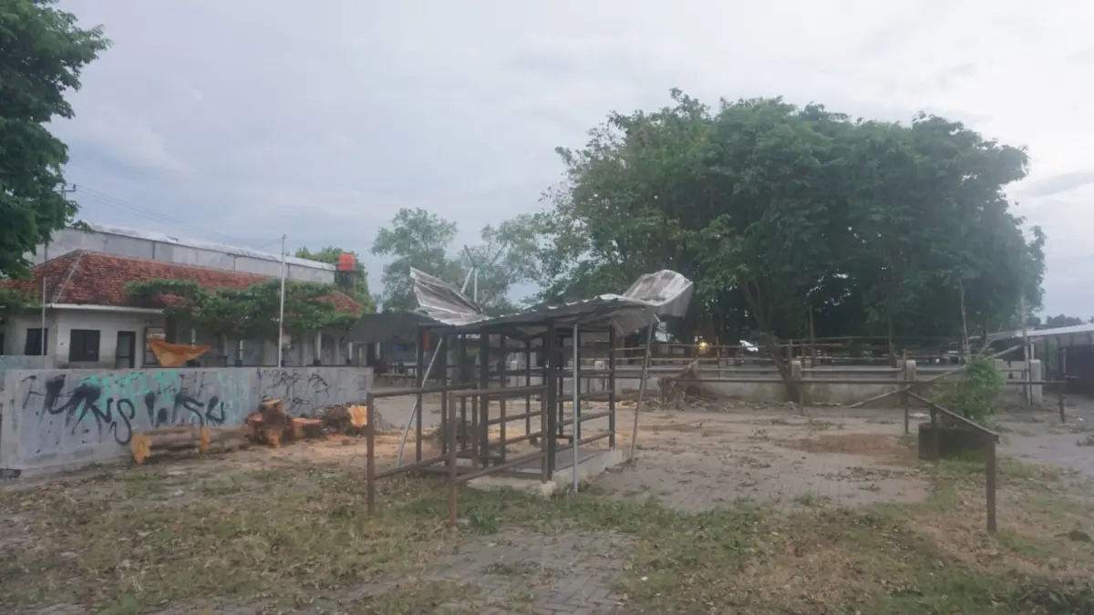 Kondisi Pasar Hewan Jatinom di Desa Bonyokan, Klaten pasca disapi angin kencang, Minggu (29/3/2026). (Angga Purenda/Radar Solo)