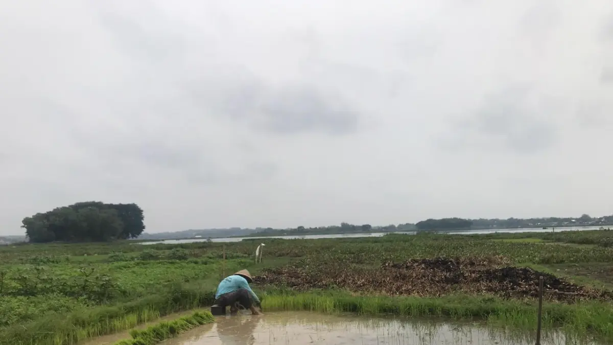 El Nino yang bisa memicu rentetan cuaca panas ekstrem hingga kekeringan panjang. BPBD Boyolali menerbitkan sejumlah rekomendasi sebagai langkah antisipasi. (ABDUL KHOFID/RADAR SOLO)