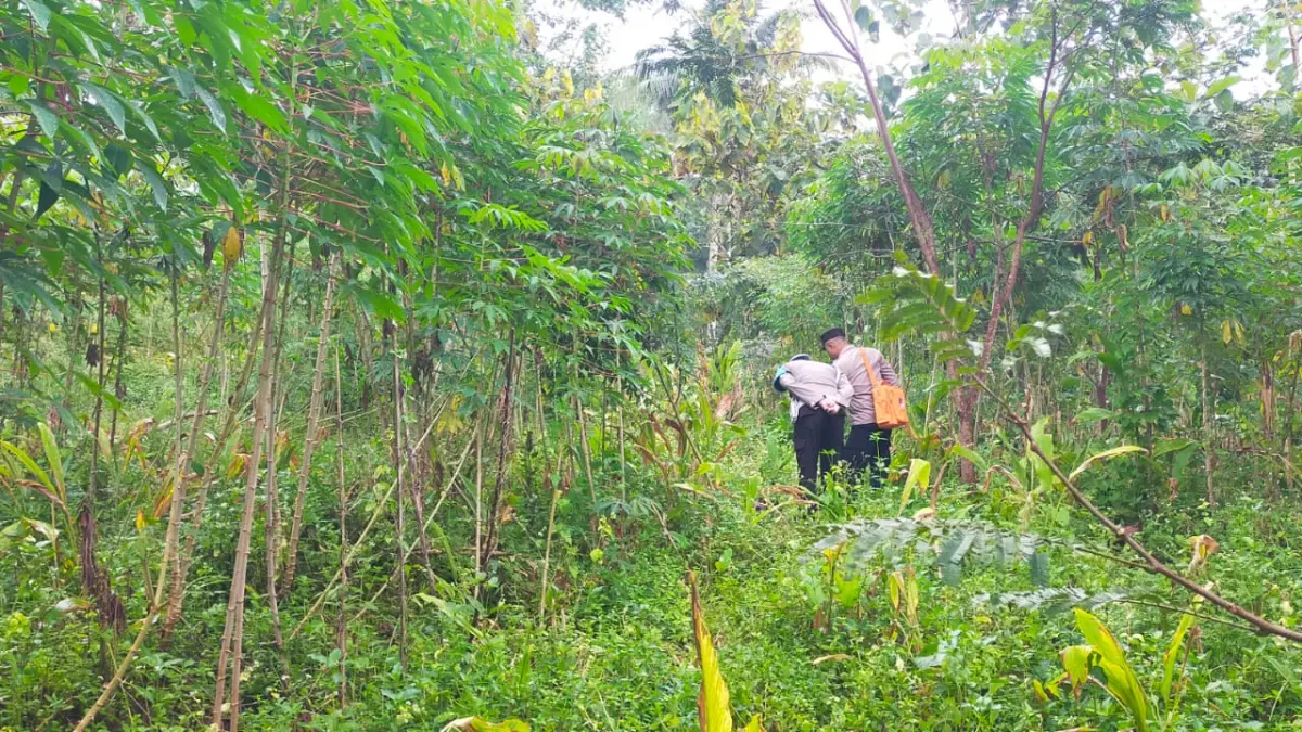 Polisi olah TKP penemuan mayat yang diduga jadi korban pembunuhan di Kelurahan Gemawang, Girimarto, Wonogiri, Kamis (2/4/2026). (DOK.POLRES WONOGIRI) 