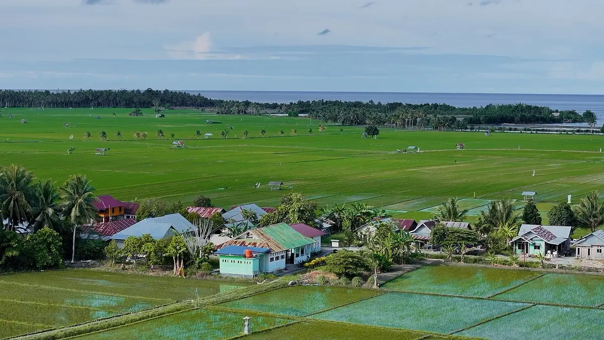 Desa Sausu Tambu didukung kekayaan sumber daya alam, keberagaman budaya, serta penguatan ekosistem ekonomi melalui program Desa BRILiaN.