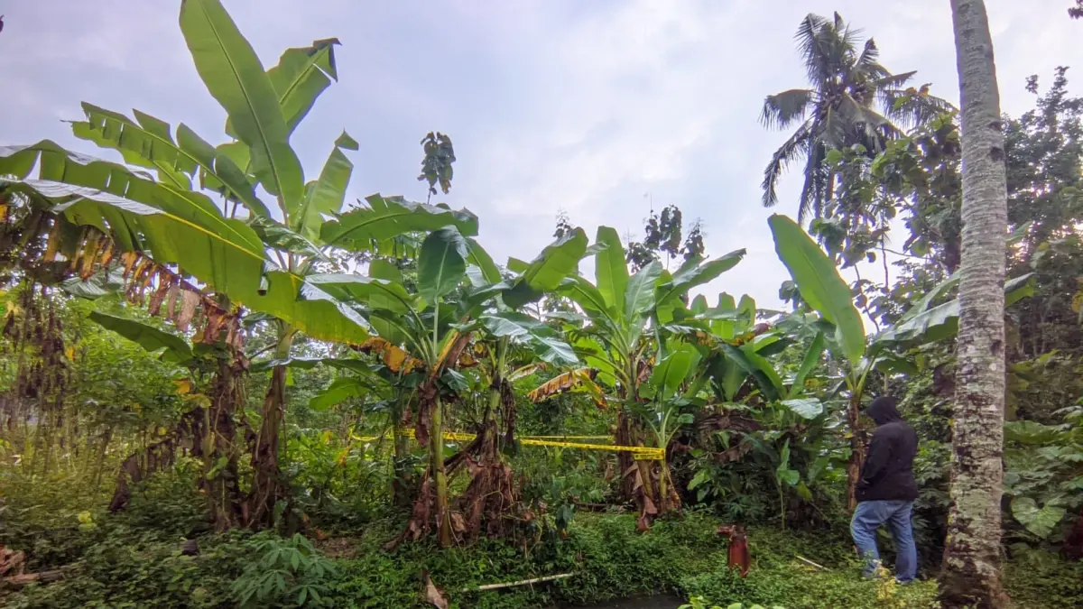 Lokasi penemuan mayat Apriyan di ladang Lingkungan Sawit RT 02/RW 06, Kelurahan Gemawang, Kecamatan Girimarto. (IWAN ADI/RADAR SOLO)