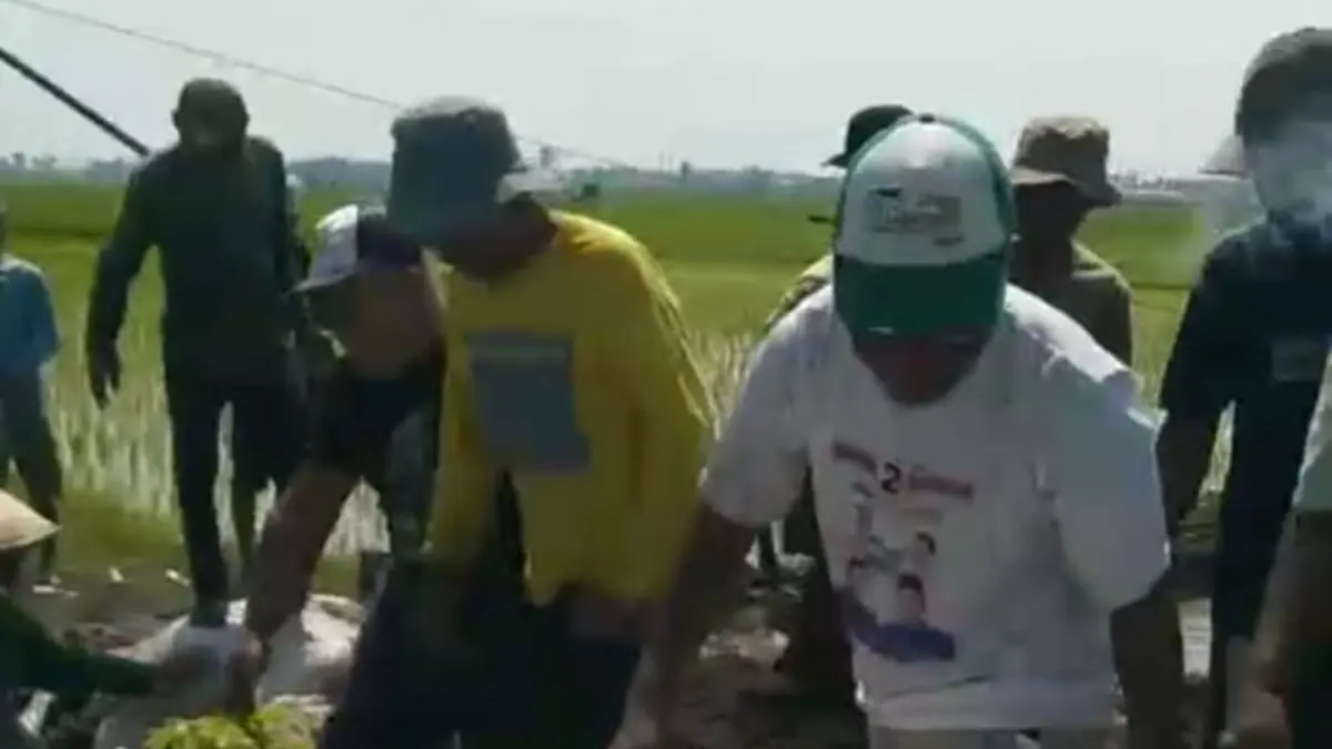 Petani di Desa Jono, Kecamatan Tanon, Kabupaten Sragen membongkar saluran irigasi yang menggenangi sawah mereka. (Ahmad Khairudin/Radar Solo)