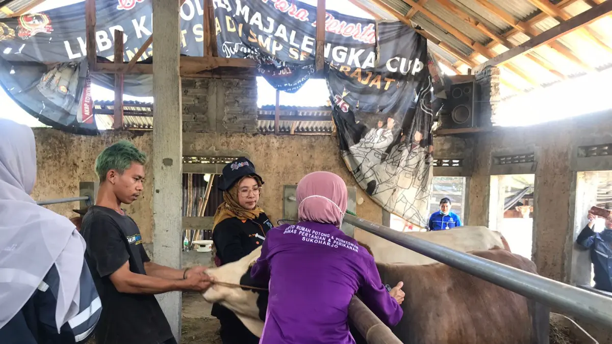 Petugas memberikan vaksinasi PMK kepada sapi ternak warga di Sukoharjo. (DOK. IWAN KAWUL/RADAR SOLO)