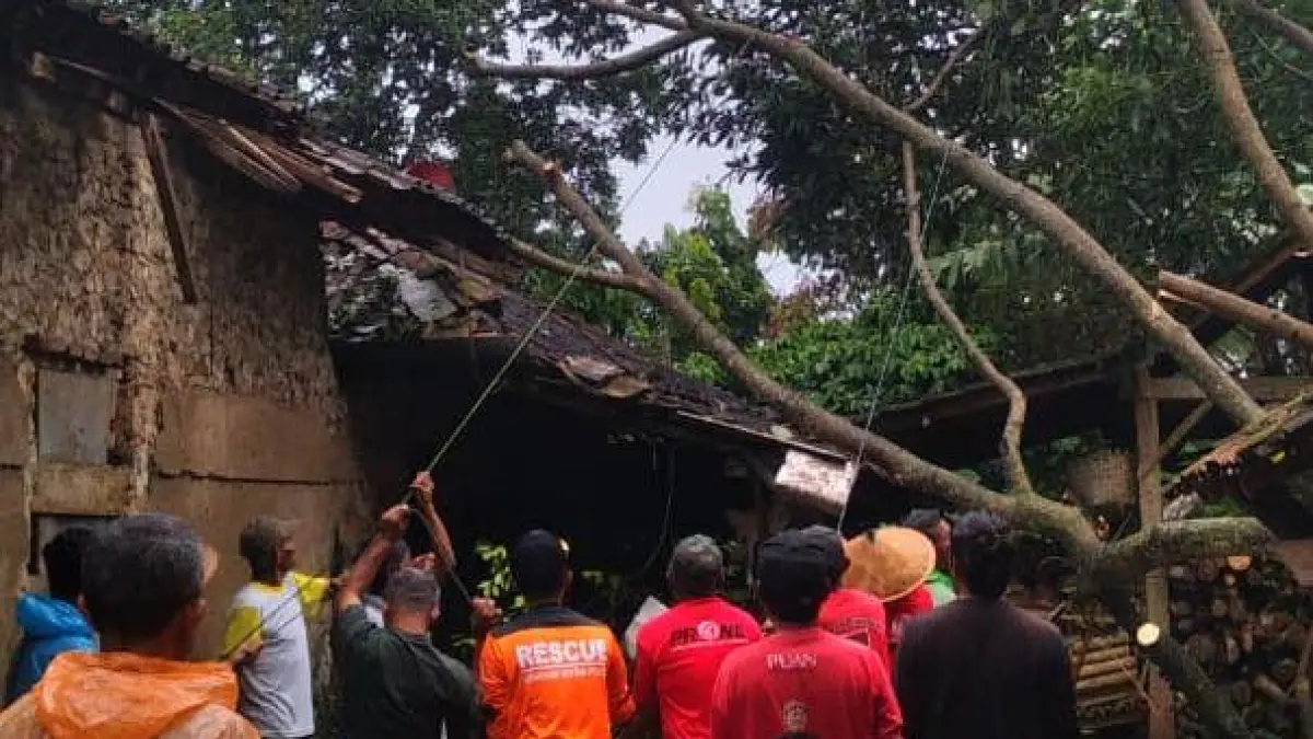 Relawan mengevakuasi pohon tumbang yang menimpa salah satu rumah di Karanganyar, Sabtu (4/4/2026). (Rudi Hartono/Radar Solo) 