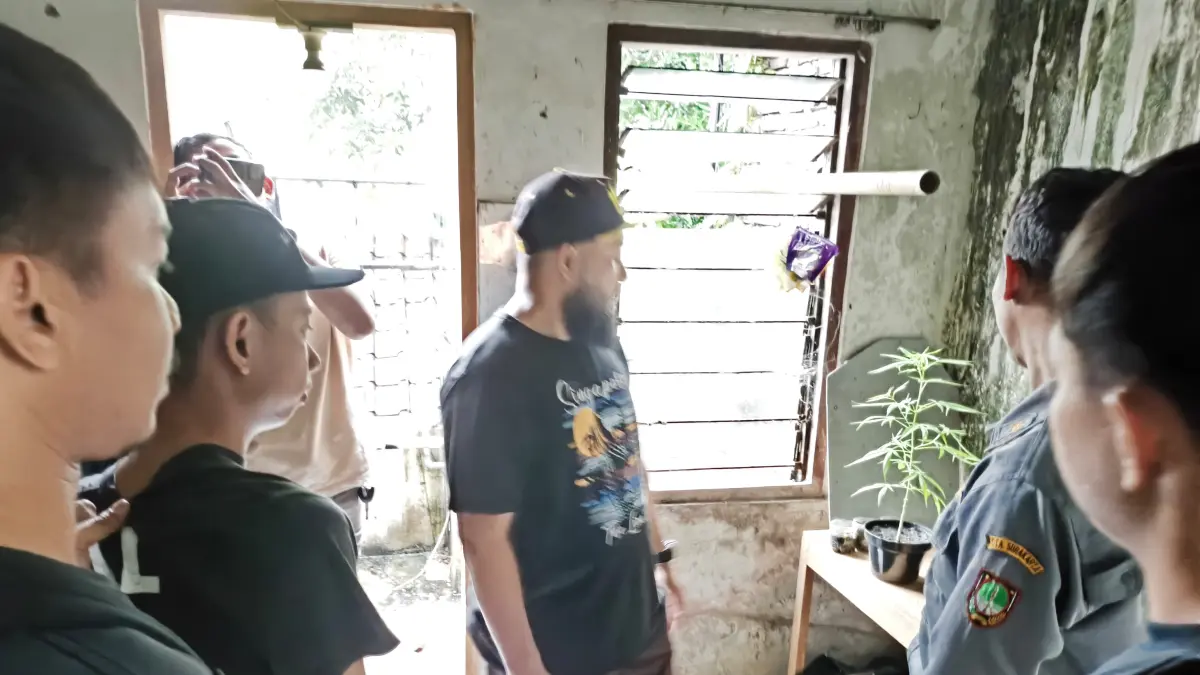 Tim Polresta Solo menemukan budi daya ganja di salah satu rumah di Kerten, Laweyan, Solo. (A Christian/Radar Solo)