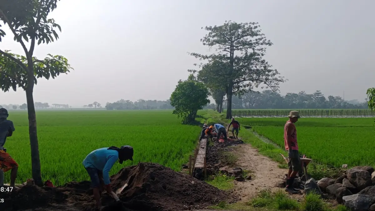Rehabilitasi saluran irigasi yang rusak sepanjang 400 meter di Desa Pranan, Kecamatan Polokarto, Sukoharjo, Rabu (8/4). (IWAN KAWUL/RADAR SOLO)