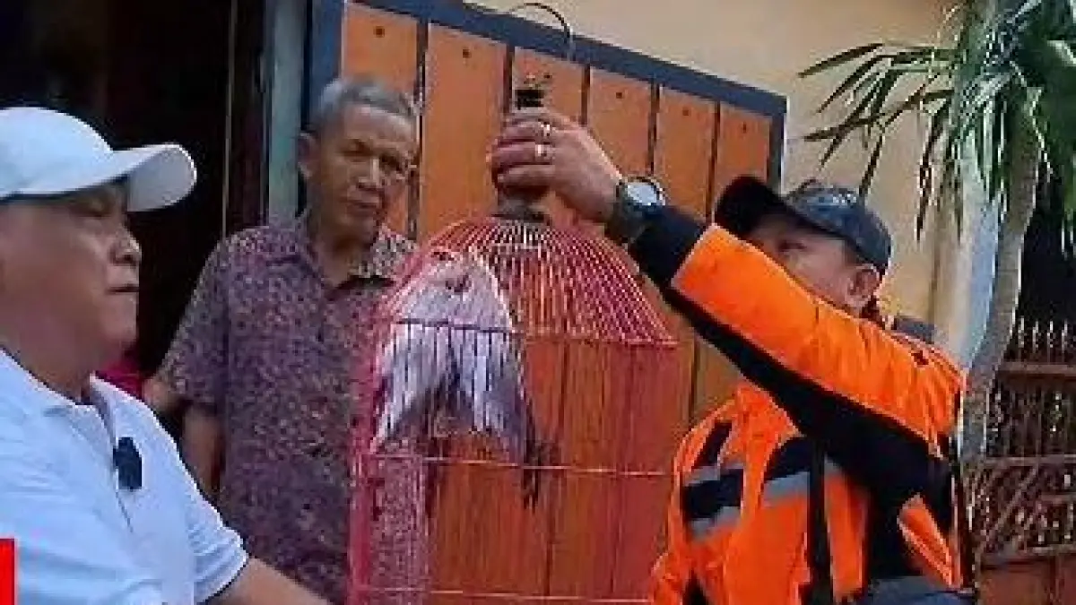 Warga Ngringo, Jaten, Karanganyar saat menyerahkan burung langka elang Jawa untuk di serahkan ke BKSDA. (Ist) 