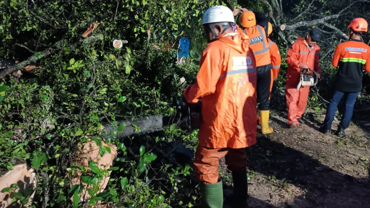 Relawan BPBD Karanganyar mengevakuasi pohon tumbang di sejumlah wilayah, Kamis (9/4/2026) petang. (Rudi Hartono/Radar Solo)