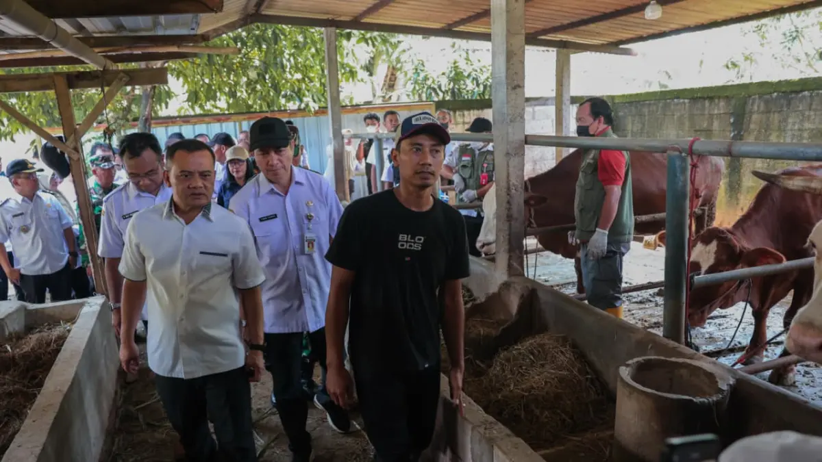 Gubernur Jateng Ahmad Luthfi meninjau langsung program layanan kesehatan hewan keliling (Healing) di Desa Krikilan, Kecamatan Kalijambe, Sragen, Rabu (15/4/2026). (PEMPROV JATENG)