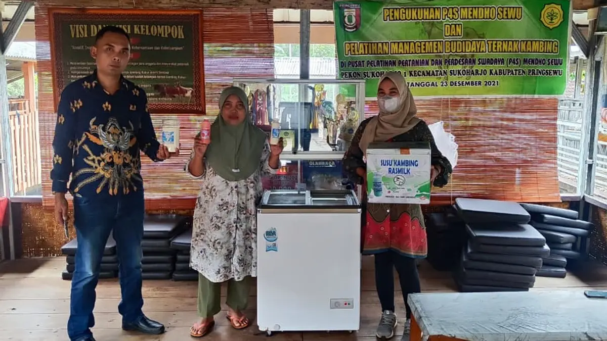 UMKM Susu Kambing Ras Farm kini berkembang pesat dengan dukungan KUR BRI.
