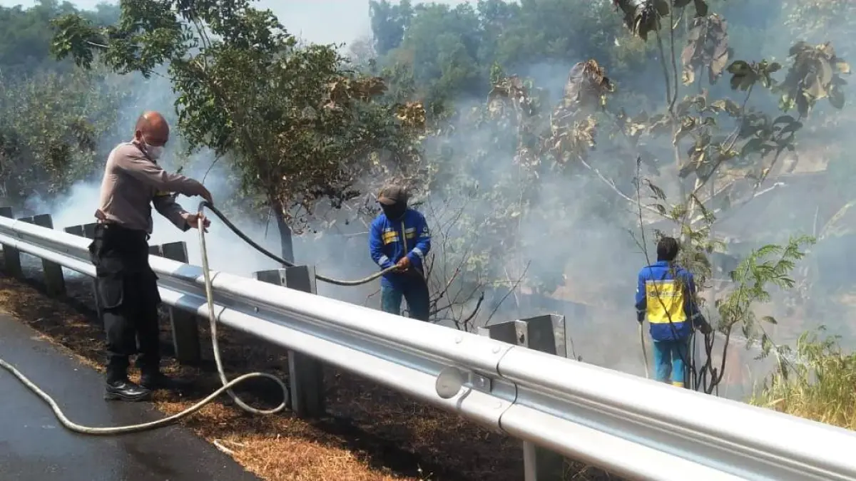 Kebakaran lahan di sekitar tol Solo-Ngawi, Kecamatan Gondangrejo, Karanganyar. (Rudi Hartono/Radar Solo)