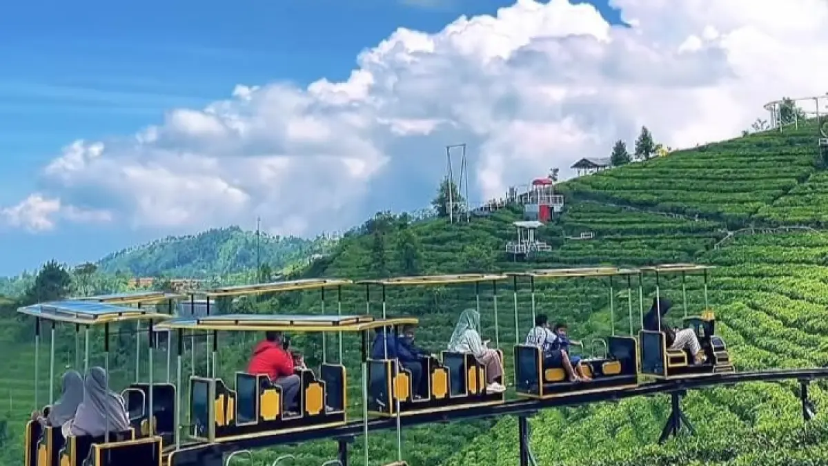 Wahana kereta mini menyusuri kawasan kebun teh Kemuning, Ngargoyoso, Karanganyar. (Instagram Kemuning Sky Hills)