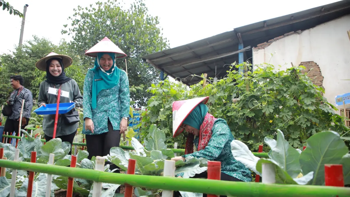 Fahrani Hamenang saat ikut memanen dalam sebuah acara di kebun warga.