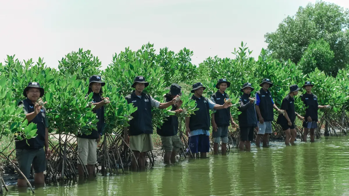 Memperingati Hari Bumi, Rabu (22/4/2026), BRI melalui program&nbsp;CSR BRI Peduli memperkuat komitmennya dengan menggelar aksi tanam pohon. Bertajuk "BRI Menanam - Grow & Green", kegiatan ini difokuskan pada pemulihan kawasan pesisir Muara Gembong, Kabupaten Bekasi, Jawa Barat. (DOK.BRI)