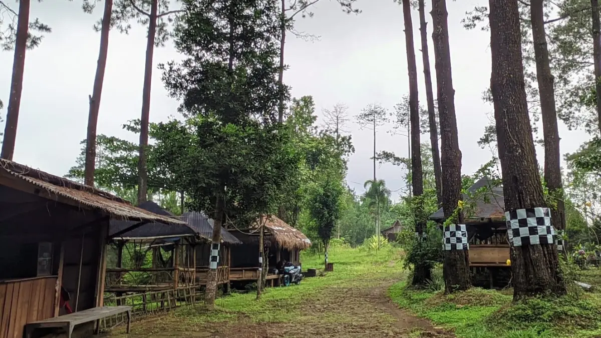 Hutan Seper di Kecamatan Jatipurno, Wonogiri pilihan tepat untuk refreshing. (IWAN ADI/RADAR SOLO)