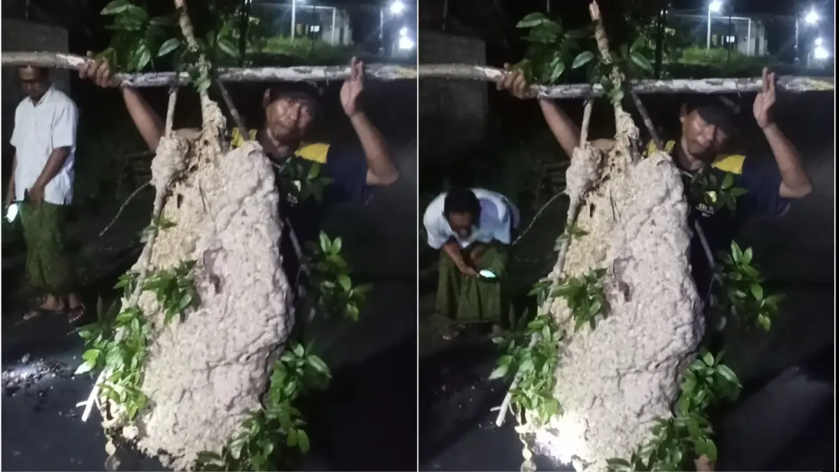 Relawan Damai Modal Mikir (Damkir) Klaten evakuasi sarang tawon Vespa Affinis berukuran raksasa di Dusun Purnan, Desa Ngemplak, Kecamatan Kalikotes, Klaten, Rabu (6/5/2025) malam. (DOK.DAMKIR)