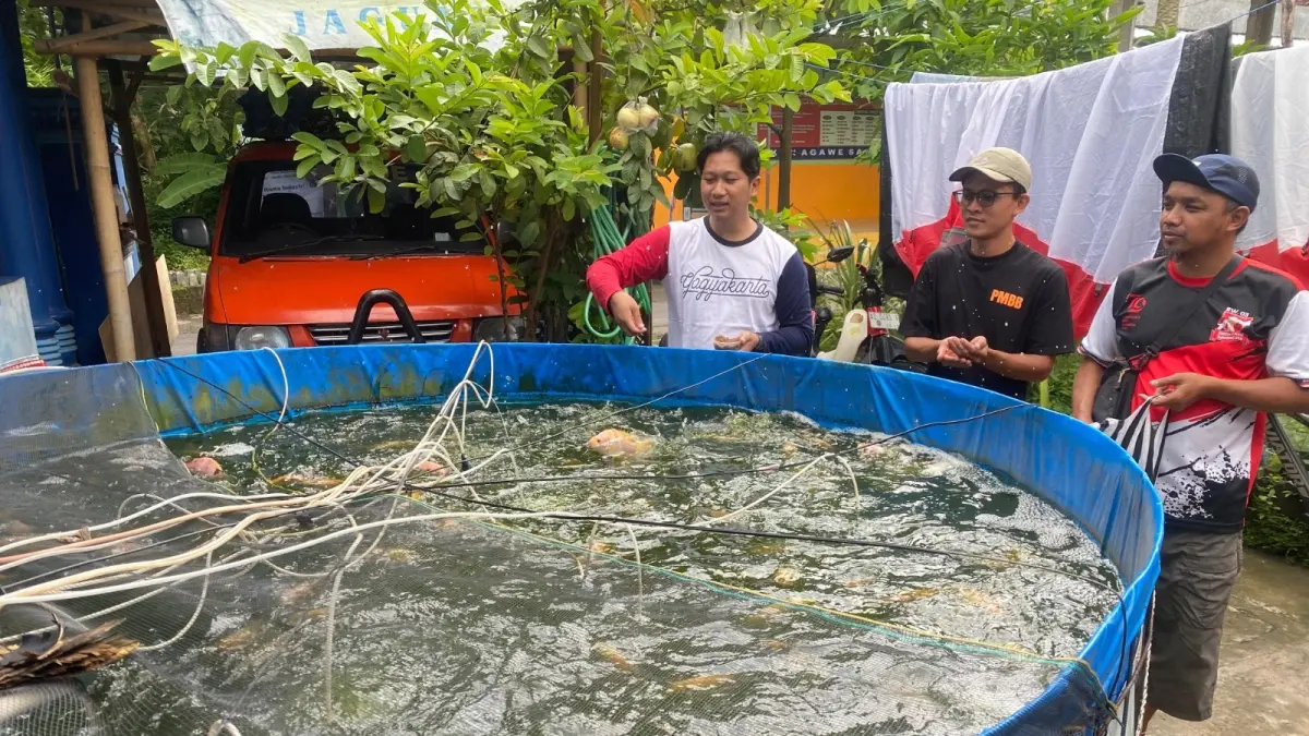 Budi daya ikan dengan sistem bioflok yang dikelola para pemuda di Desa Wonorejo, Kecamatan Polokarto, Kabupaten Sukoharjo. (DOK. KADES WONOREJO)
