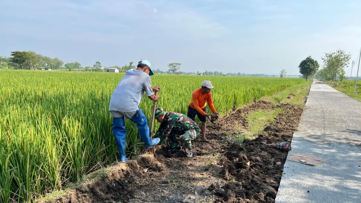 Anggota Satgas TMMD Kodim 0725 Sragen bersama petani memberem jalan pertanian yang baru saja selesai dibangun, Kamis (14/5/2026). (Ahmad Khairudin/Radar Solo)