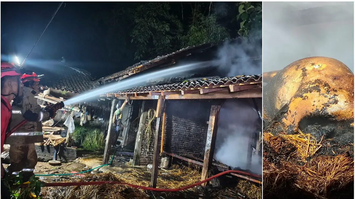 Kandang ternak milik Sumi warga Dusun Kopen RT 01 RW 09, Desa Tempursari, Kecamatan Sidoharjo, ludes dilalap api, Senin (18/5/2026) malam. Satu ekor sapi mati terpanggang.