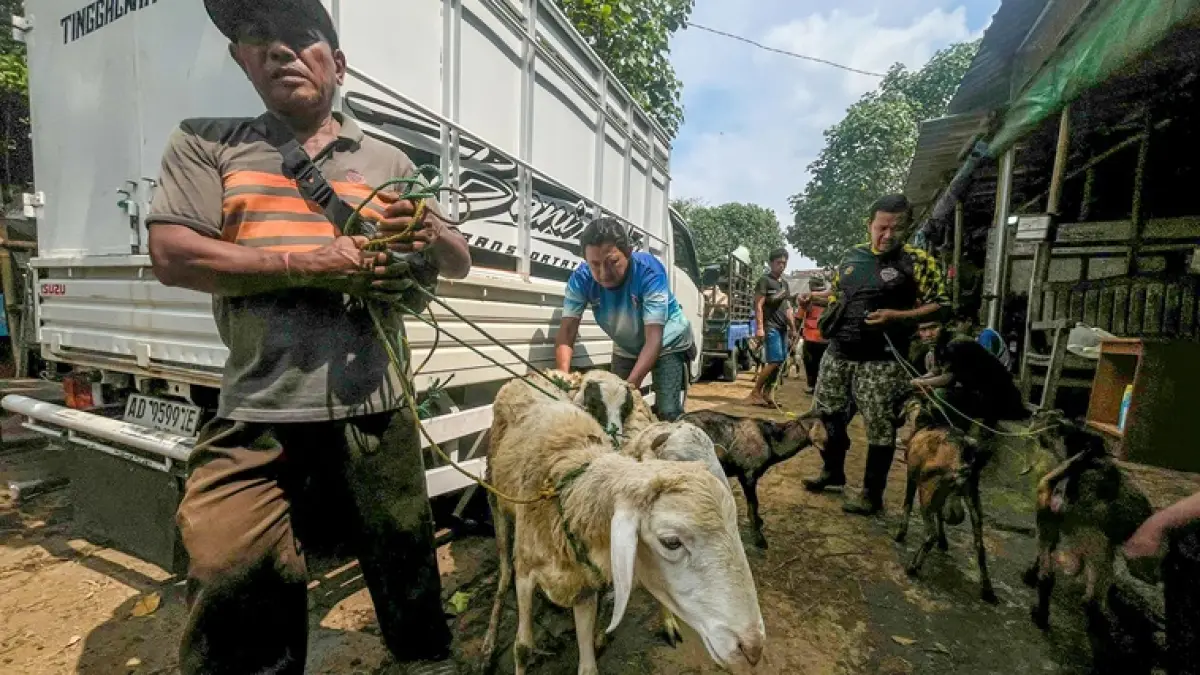 Pedagang menuntun kabing daganganya yang dijual untuk kurban Idul Adha di Kota Solo. (M. IHSAN/RADAR SOLO)
