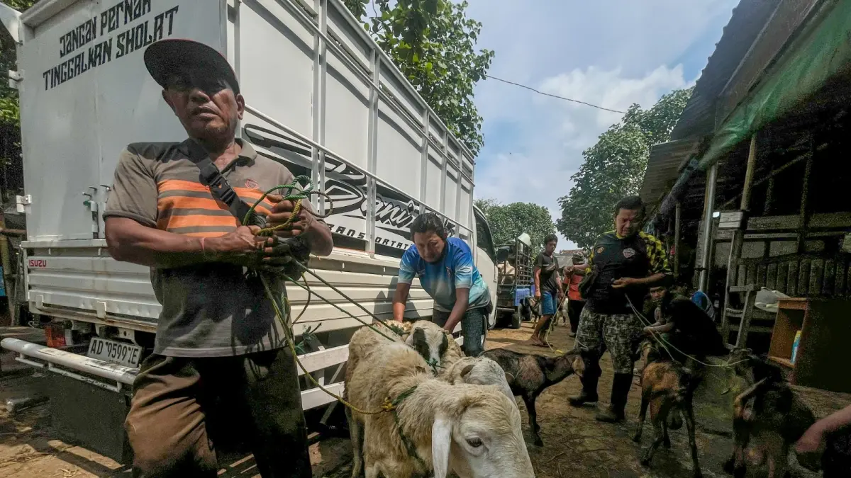 Suasana jual beli hewan kambing untuk kurban yang ada di Kota Solo. (M. IHSAN/RADAR SOLO)