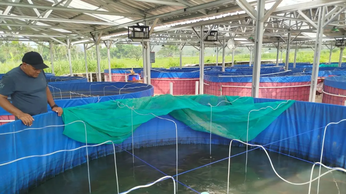 Melalui program bantuan pusat dengan taksiran nilai sekitar Rp500 juta tersebut, di lokasi lahan tidur Desa Kepatihan Wonogiri kini telah dibangun infrastruktur pemeliharaan ikan berupa 24 unit kolam permanen. (IWAN ADI/RADAR SOLO)