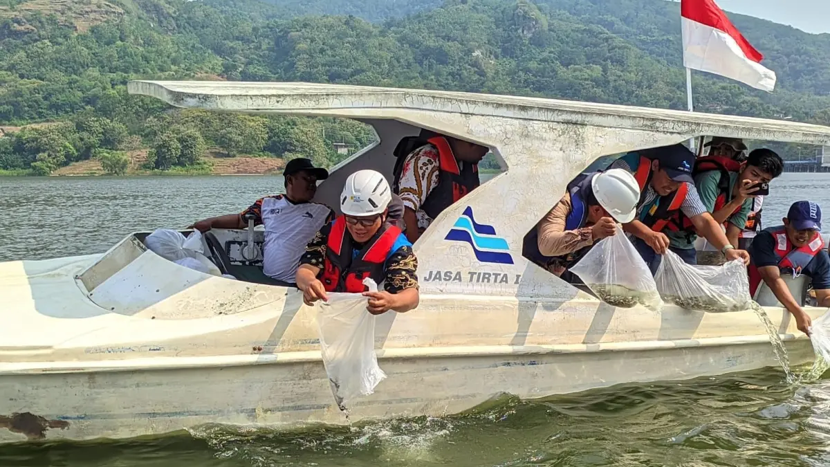 Penebaran ratusan ribu ekor benih ikan di perairan Waduk Gajah Mungkur (WGM), Jumat (22/5/2026). (IWAN ADI/RADAR SOLO)