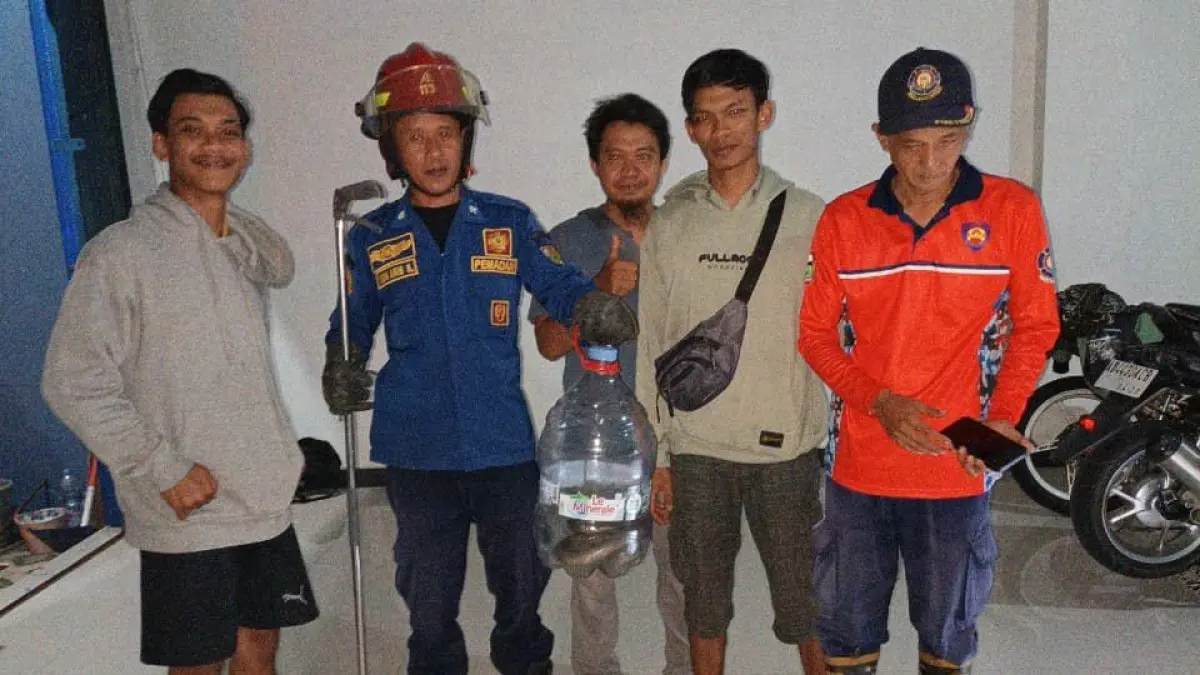 Tim Damkar Boyolali berhasil mengevakuasi ular kobra dari permukiman warga. (DOK.DAMKAR BOYOLALI)