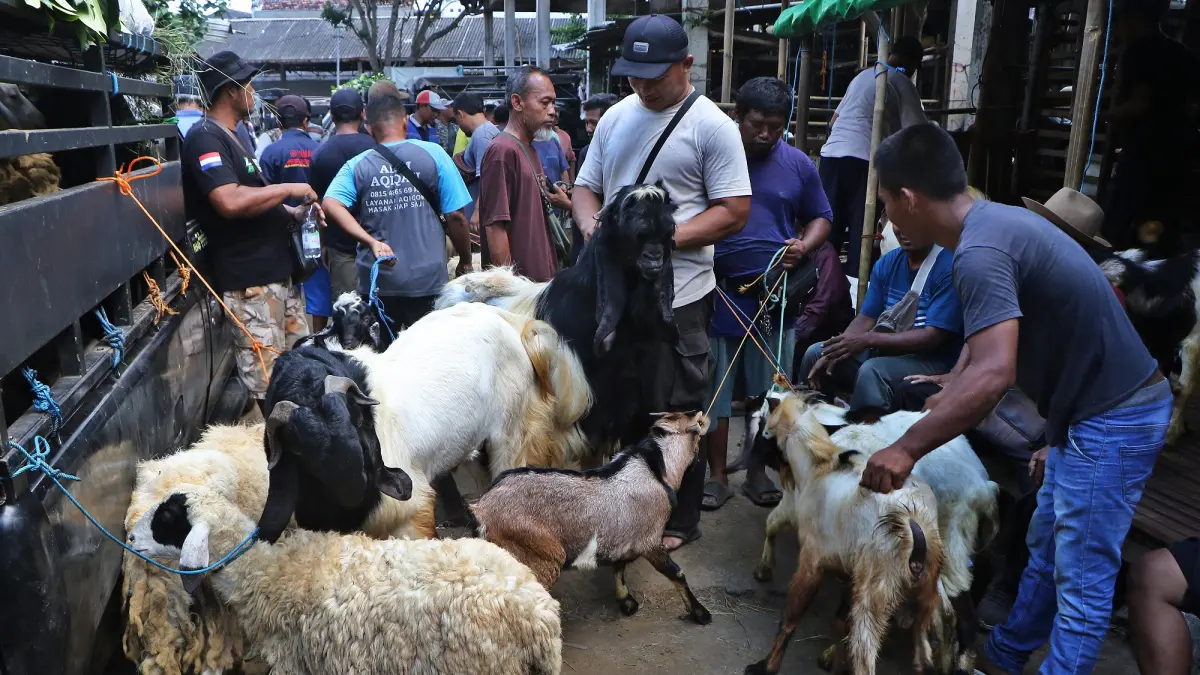 Pasar Hewan Silir menjadi salah satu jujugan untuk mencari hewan kurban. (Arief Budiman/Radar Solo)