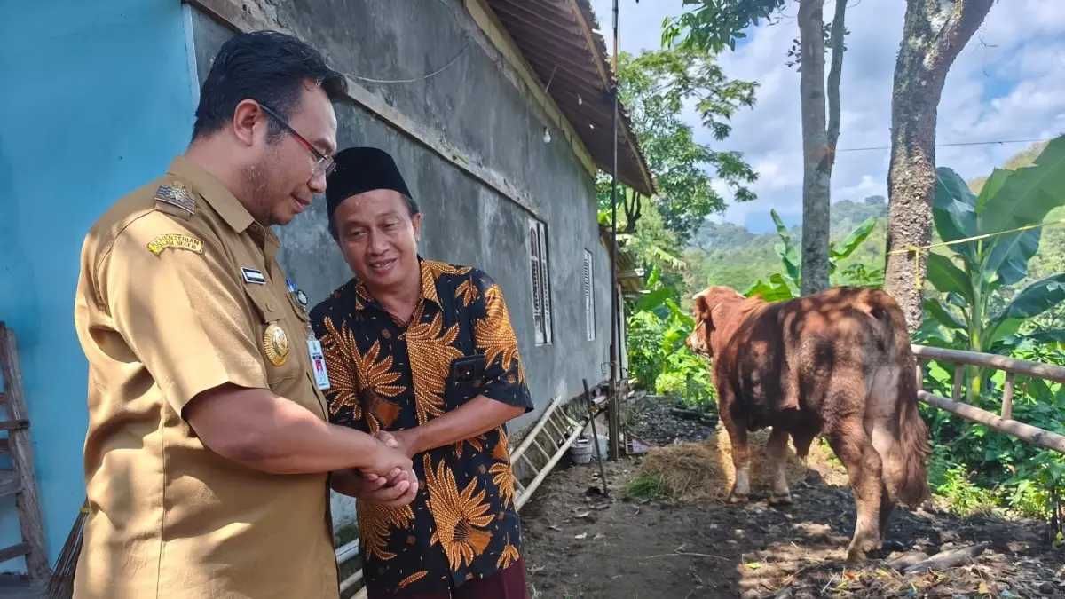 Bupati Sragen Sigit Pamungkas serahkan sapi kurban ke warga Jetis, Sambirejo, Selasa (26/5/2026). (Ahmad Khairudin/Radar Solo)