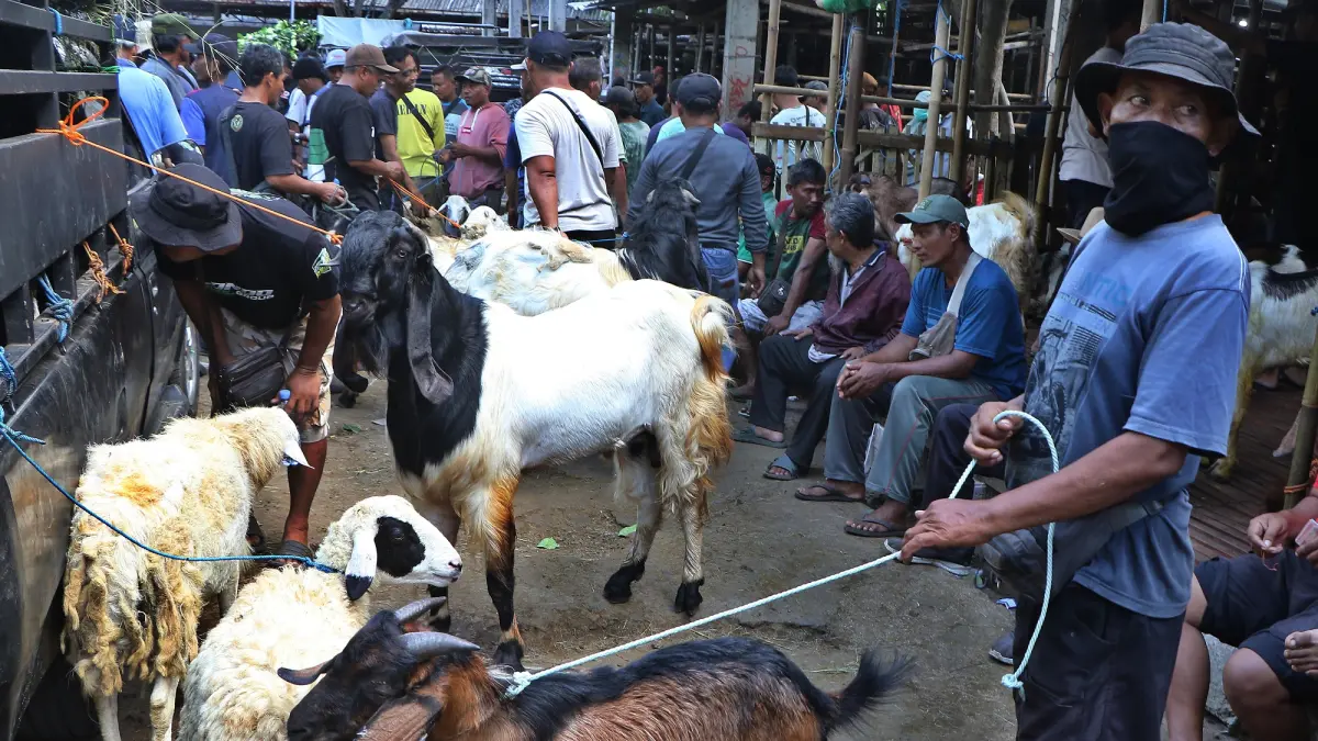 Pasar Hewan Bekong ramai dikunjungi jelang Idul Adha. (Arief Budiman/Radar Solo)