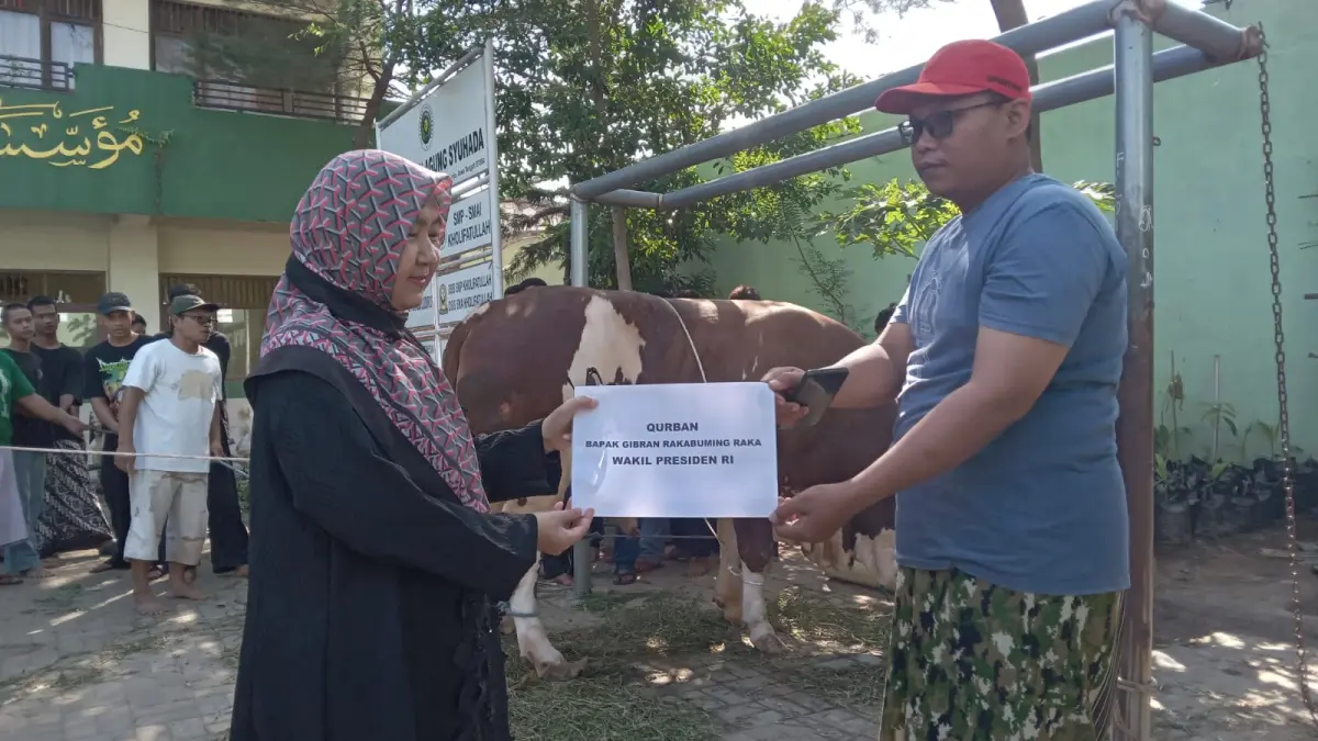 Bantuan sapi jenis simetal dari Wapres Gibran Rakabuming Raka diterima Pengasuh Ponpes Kholifatullah Singo Ludiro Sukoharjo Lilis Fatimah, Rabu (27/5). (Dok. Pribadi)