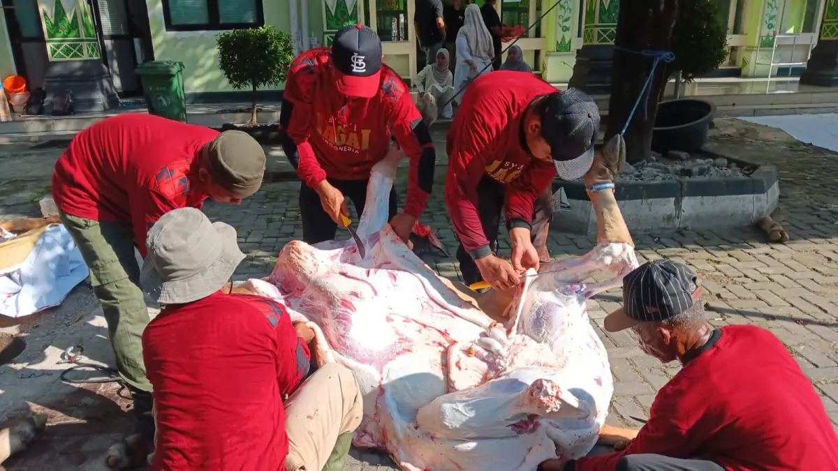 Pelaksanaan penyembelihan hewan kurban di Masjid Raya Klaten, Rabu (27/5/2026). (Angga Purenda/Radar Solo)